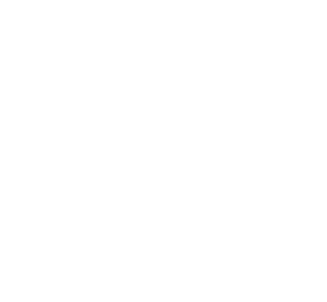 Whitti Designs Logo